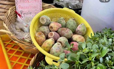 Oportunidad Venta de Concesión  de Local Comercial en Mercado Pedro Ogazon