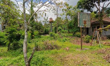 Rumah Joglo - Limasan & Rumah Kayu Murah Jl. Kaliurang Km21