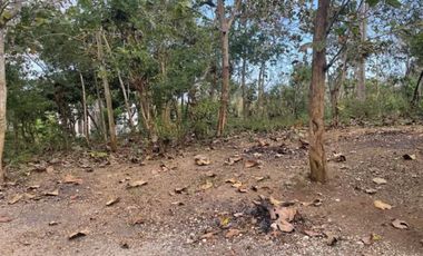 jual Tanah Bagus  Di Pecatu Kuta Selatan Badung Bali. GWK, Uluwatu, Pandawa