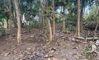 jual Tanah Bagus  Di Pecatu Kuta Selatan Badung Bali. GWK, Uluwatu, Pandawa