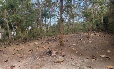 jual Tanah Bagus  Di Pecatu Kuta Selatan Badung Bali. GWK, Uluwatu, Pandawa