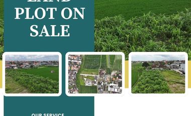 FOR RENT LAND WITH BEAUTY VIEW AT PADONAN, CANGGU
