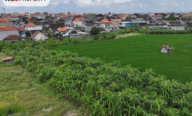 FOR RENT LAND WITH BEAUTY VIEW AT PADONAN, CANGGU
