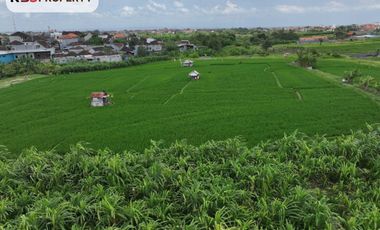 FOR RENT LAND WITH BEAUTY VIEW AT PADONAN, CANGGU