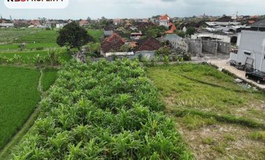 FOR RENT LAND WITH BEAUTY VIEW AT PADONAN, CANGGU