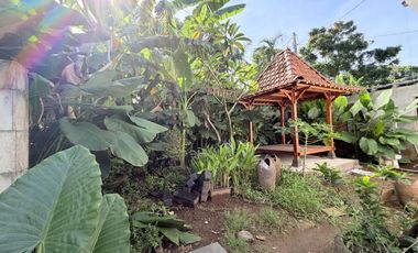 Guest House di Jimbaran dengan Lokasi Strategis dan Potensi ROI 10-12%