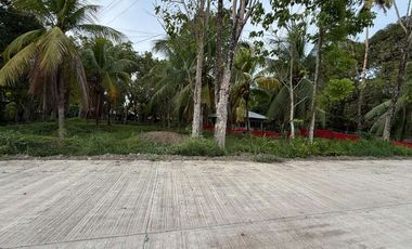 🌅🏡 𝐅𝐎𝐑 𝐒𝐀𝐋𝐄: 𝐑𝐞𝐬𝐢𝐝𝐞𝐧𝐭𝐢𝐚𝐥 𝐋𝐨𝐭 – 𝐒𝐮𝐧𝐫𝐢𝐬𝐞 & 𝐑𝐢𝐜𝐞 𝐅𝐢𝐞𝐥𝐝 𝐕𝐢𝐞𝐰 🌾✨