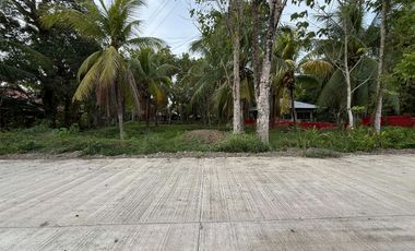 🌅🏡 𝐅𝐎𝐑 𝐒𝐀𝐋𝐄: 𝐑𝐞𝐬𝐢𝐝𝐞𝐧𝐭𝐢𝐚𝐥 𝐋𝐨𝐭 – 𝐒𝐮𝐧𝐫𝐢𝐬𝐞 & 𝐑𝐢𝐜𝐞 𝐅𝐢𝐞𝐥𝐝 𝐕𝐢𝐞𝐰 🌾✨