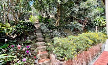 ARRIENDO Codigo 2-493