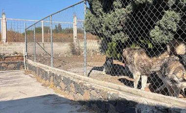 TERRENO EL PROGRESO CORREGIDORA QUERETARO