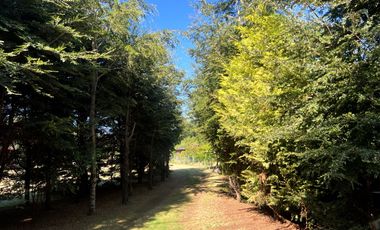 Casa En Venta En Pucón