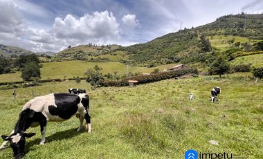 En venta terreno al norte de la ciudad con espectaculares vistas ideal para casas de campo