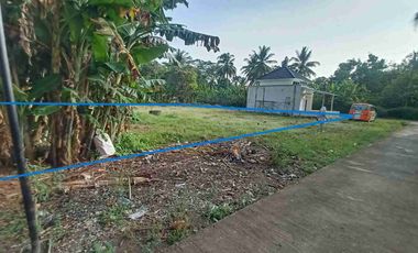 DIJUAL 11 KAVLING SIAP BANGUN DI KEDUNGSARI PURWOREJO