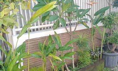 Di jual rumah lantai 2 lokasi Denpasar Selatan