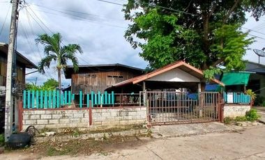 F3-0482 ขายบ้านเดี่ยว ต. ผักปัง อ.ภูเขียว จ.ชัยภูมิ