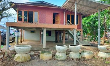 F4-0389 ขายบ้านเดี่ยว ต. หนองบัวใหญ่ อ.จัตุรัส จ.ชัยภูมิ