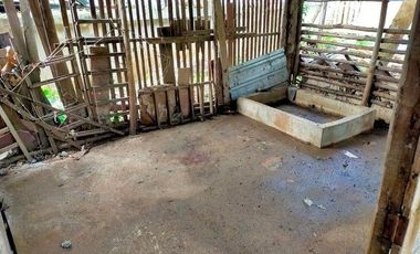 F4-0389 ขายบ้านเดี่ยว ต. หนองบัวใหญ่ อ.จัตุรัส จ.ชัยภูมิ