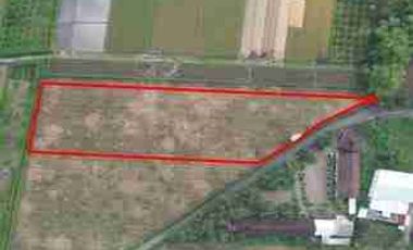 Dijual murah via lelang Tanah di Doangg Mojokerto