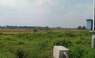 Dijual murah via lelang tanah di Dlanggu mojokerto