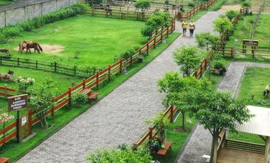 Rumah 166 Juta di Lumajang | Tipe 36 - Amore Permata Grati Garden