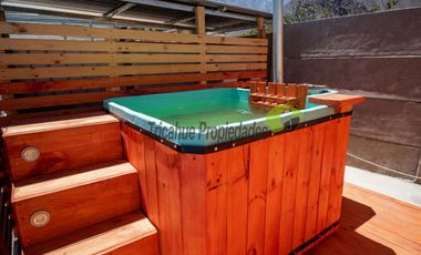 Arriendo de casa amoblada con piscina, 1D y 1B. Gastos básicos incluidos. Andacollito, Vicuña. $450 mil