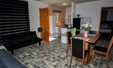 Arriendo de casa amoblada con piscina, 1D y 1B. Gastos básicos incluidos. Andacollito, Vicuña. $450 mil