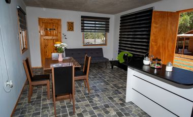 Arriendo de casa amoblada con piscina, 1D y 1B. Gastos básicos incluidos. Andacollito, Vicuña. $450 mil