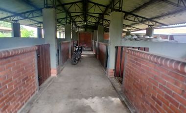 FINCA MULTIPROPSITO TIENDA NUEVA PALMIRA