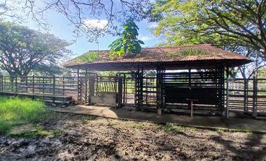 FINCA MULTIPROPSITO TIENDA NUEVA PALMIRA