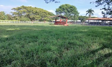 FINCA MULTIPROPSITO TIENDA NUEVA PALMIRA