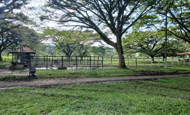 FINCA MULTIPROPSITO TIENDA NUEVA PALMIRA