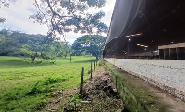 FINCA MULTIPROPSITO TIENDA NUEVA PALMIRA