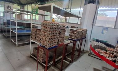 FINCA MULTIPROPSITO TIENDA NUEVA PALMIRA