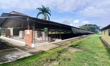 FINCA MULTIPROPSITO TIENDA NUEVA PALMIRA