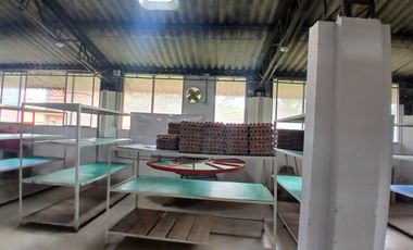 FINCA MULTIPROPSITO TIENDA NUEVA PALMIRA