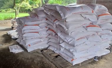 FINCA MULTIPROPSITO TIENDA NUEVA PALMIRA