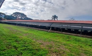 FINCA MULTIPROPSITO TIENDA NUEVA PALMIRA