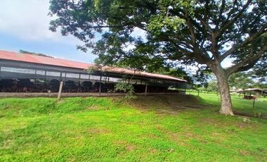 FINCA MULTIPROPSITO TIENDA NUEVA PALMIRA