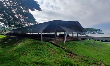 FINCA MULTIPROPSITO TIENDA NUEVA PALMIRA