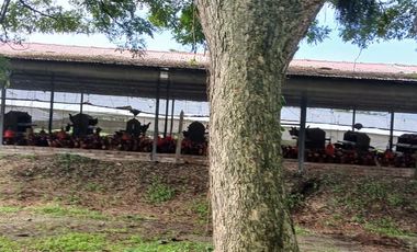 FINCA MULTIPROPSITO TIENDA NUEVA PALMIRA