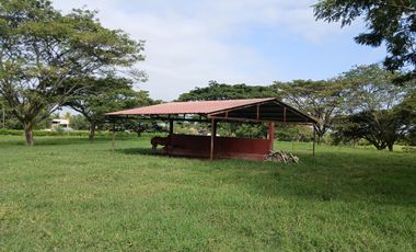FINCA MULTIPROPSITO TIENDA NUEVA PALMIRA