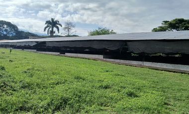 FINCA MULTIPROPSITO TIENDA NUEVA PALMIRA