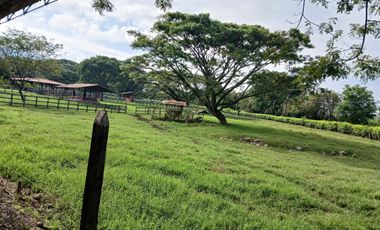 FINCA MULTIPROPSITO TIENDA NUEVA PALMIRA