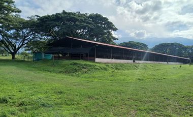 FINCA MULTIPROPSITO TIENDA NUEVA PALMIRA