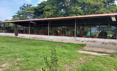 FINCA MULTIPROPSITO TIENDA NUEVA PALMIRA