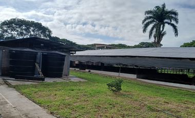 FINCA MULTIPROPSITO TIENDA NUEVA PALMIRA