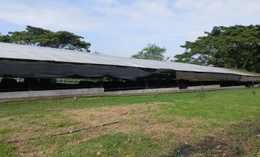 FINCA MULTIPROPSITO TIENDA NUEVA PALMIRA