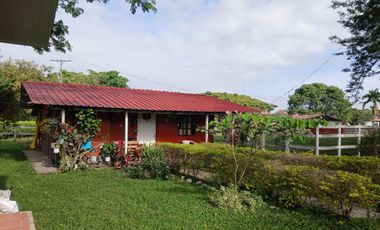 FINCA MULTIPROPSITO TIENDA NUEVA PALMIRA