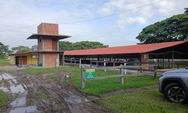 FINCA MULTIPROPSITO TIENDA NUEVA PALMIRA