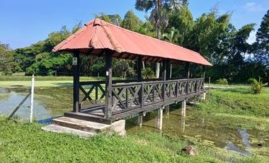 FINCA MULTIPROPSITO TIENDA NUEVA PALMIRA